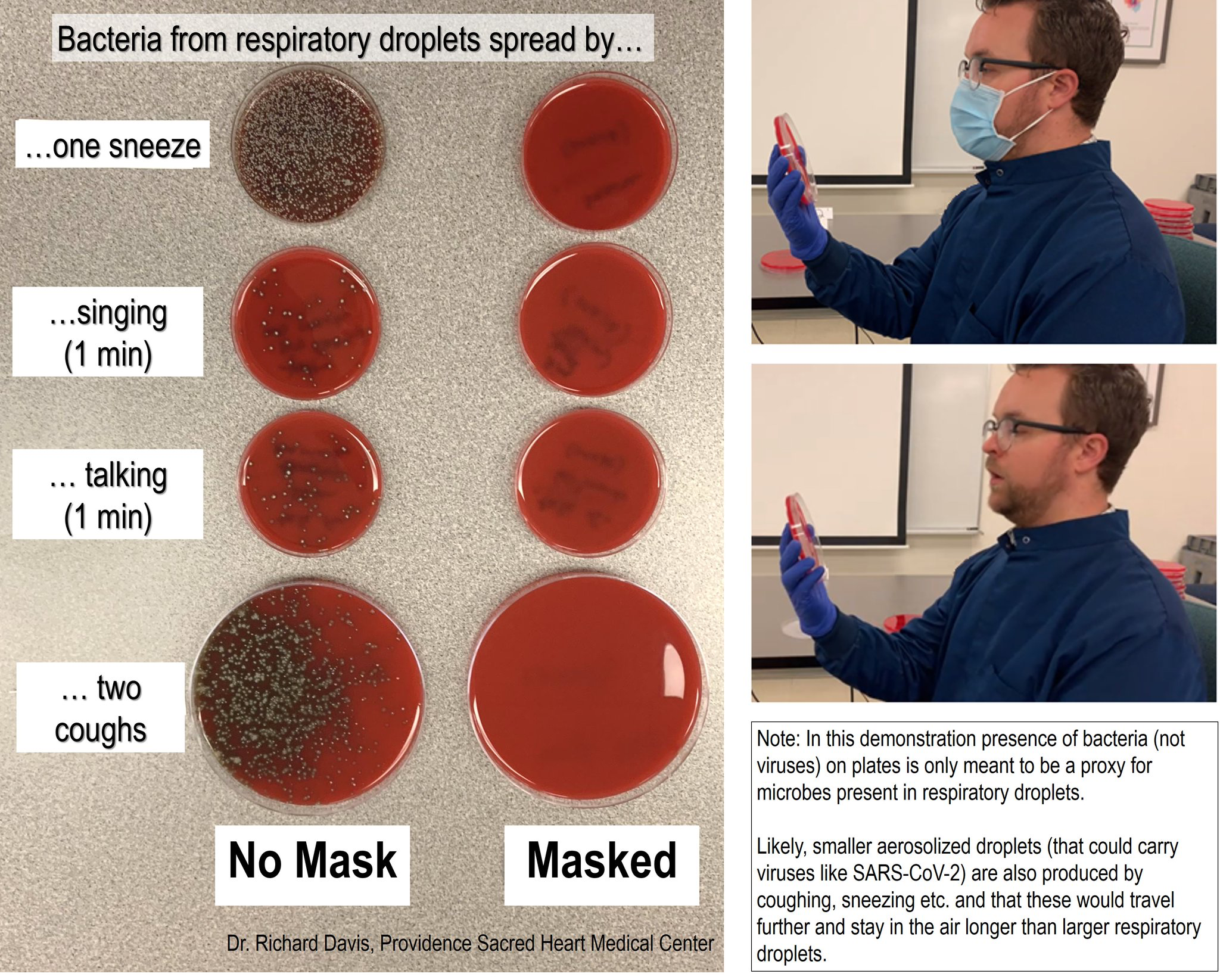 bacteria growth with and without masks