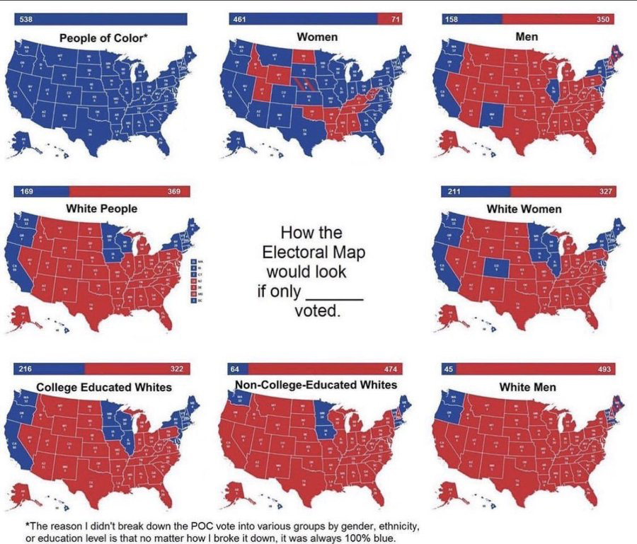 electoral vote based on single demographics